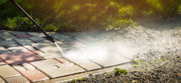 Best Animal Enclosure Cleaning  in Georgetown, IN